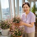 "통풍 안 되면 잎이 다 털려요" 트리안 키우기 물주기 공식과 풍성한 숲 만드는 비결