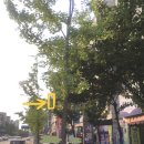 [일산피부과] 하얀나라김피부과