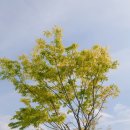 청라3동행정복지센터(6) 이미지