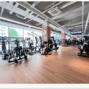 올데이 짐 이미지