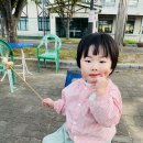 동락매점 이미지