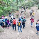 천수만목장 2 이미지