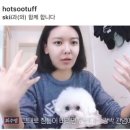 같이