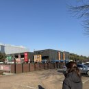 도그와트 이미지