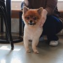 바로나도 네이버블로그