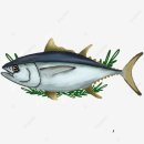 더슬림짐 이미지