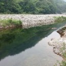 그루터기 캠핑장 이미지