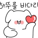 금불테라피 이미지