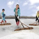 옥도면사무소 이미지