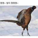 수안보관광안내소 이미지
