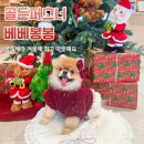 펫봉봉 | 보온력 좋은 강아지 겨울옷 추천 골든퍼스너 베베봉봉 울소재