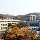 파평도서관 이미지