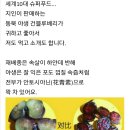 (강추!) 한국에 없는 야생 건블루베리(신제품) 소개 이미지