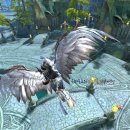 펫 중개소 | 테라M 라브렝 후기, 앱스토어 매출순위 1위 달성!~