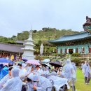 에스케이에너지 | 세종 영평사 낙화축제 2025 입장료 및 꿀팁과 첫날 후기