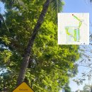 나나복싱 이미지