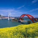 선창가 Daum카페