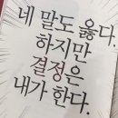 비비드유