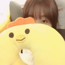 백패커스 호스텔/조마베이커리/비엔티안 환전/비엔티안 유심칩:라오텔레콤/비엔티안에서 방비엥 가는법