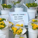 강동구 성내동꽃집 시월 싱싱하고 예쁜 꽃다발 후기