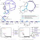 Re: 박테리아 세포 공장 - 5종 세균, 235종 대사물질 생산 2025 네이처!! 이미지