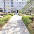 로컬부동산공인중개사사무소 이미지