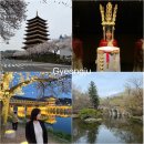 보문아구 | 경주 2박3일 여행코스 총정리 | 불국사•월정교•대릉원까지 완벽 일정