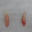 중동우리아이동물병원 이미지