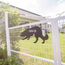 도그펜션 이미지