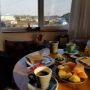 제주 알모 이미지