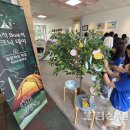 척과초등학교