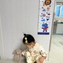 룩·데일리룩(베베드피노· 페퍼· 보나츠· 꼬숑· 샵보엔· 프프· 베르데팔레트·던스 클로버 게더98)