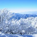 사계절풍경