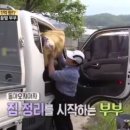 꿀벌부부
