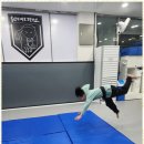 강무관 대호무술체육관 이미지