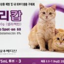 햇살가득한약국 이미지