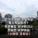 아이언아이특수체육교실 | 느린아이 초등학교 특수학급이란? 부분통합 보내봤더니 현실은 이랬어요.