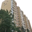 강남-095 이미지