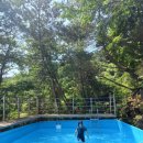산울림한옥마을 | 아이와 함께 주말여행 수영장이 있는 가평 산울림 한옥펜션 후기