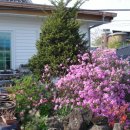 오월의여왕 이미지