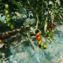 은상농장 이미지