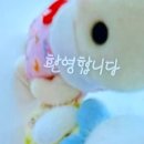 씨오(Sea:O)