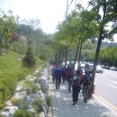 입실2리 본동 이미지