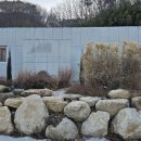 보스케토 삼동 이미지