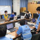 완도11호 이미지