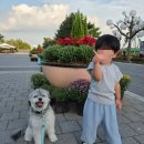 지에스펫 | 검단 애견용품점 | 24시 무인펫샵 견생냥품 인천아라역점 이용 후기