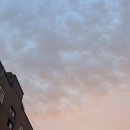 하늘멍가 이미지