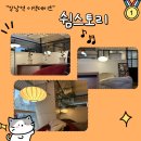 쉼빌딩 | [서울 강남] 강남역 실내 이색 데이트 쉼스토리