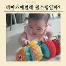 라마즈믹스앤매치애벌레 발달 놀이 및 세탁기 세탁 방법