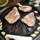생포탄 이미지